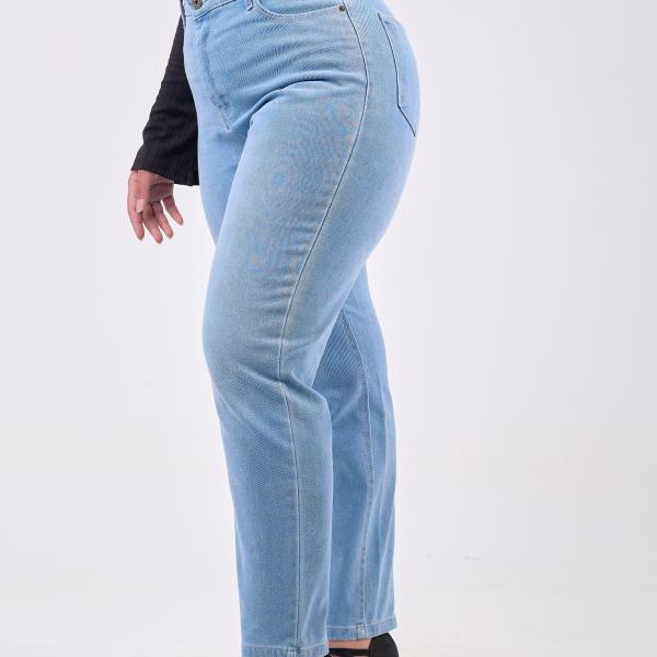 Mom-Fit Sky Blue Denim